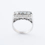 Wit gouden dubbele rij ring met briljanten en diamanten