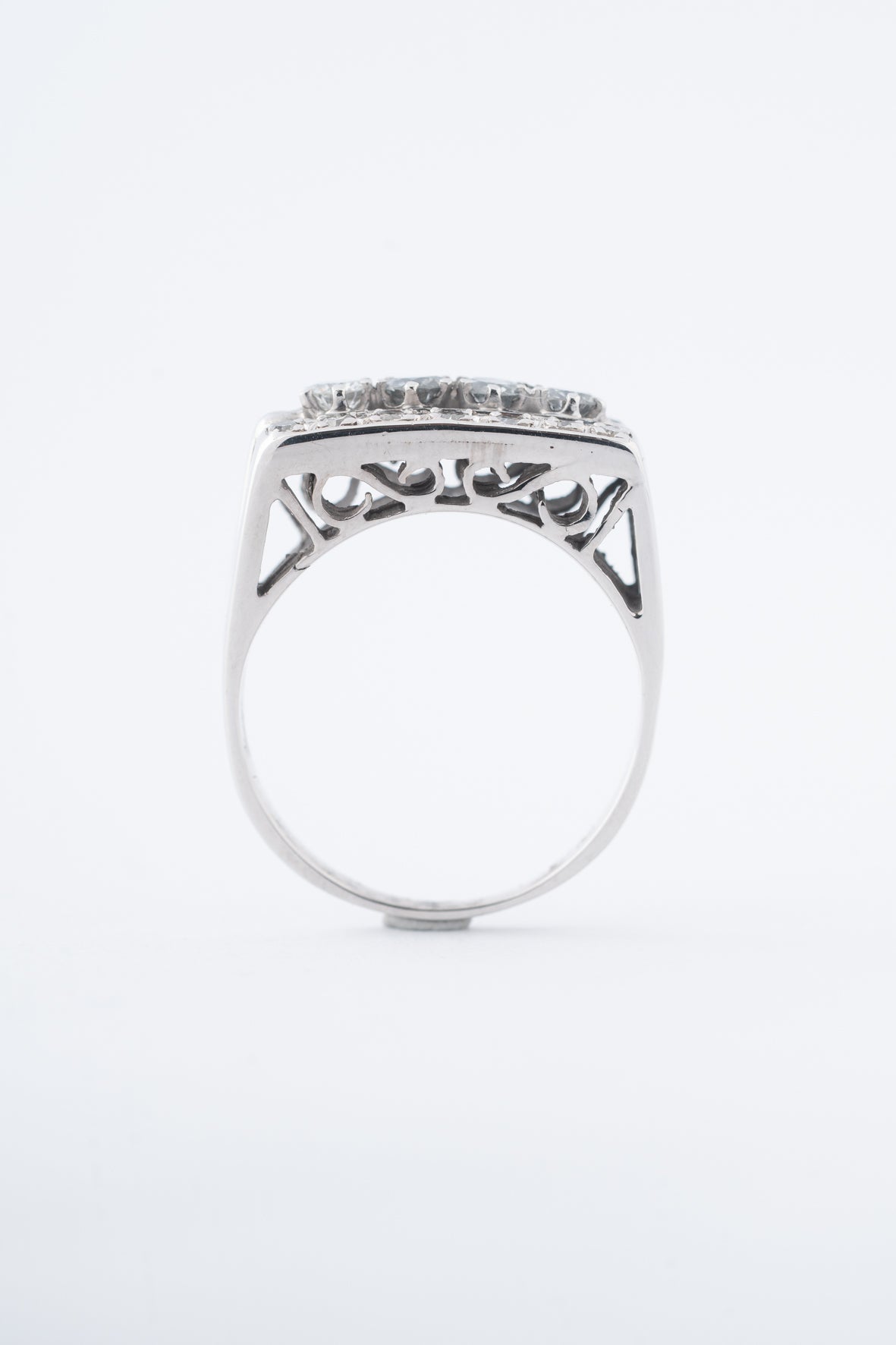 Wit gouden dubbele rij ring met briljanten en diamanten