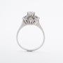 Witgouden entourage ring met een briljant en diamanten