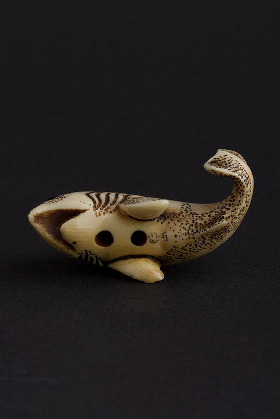 Antique ivory netsuké shark