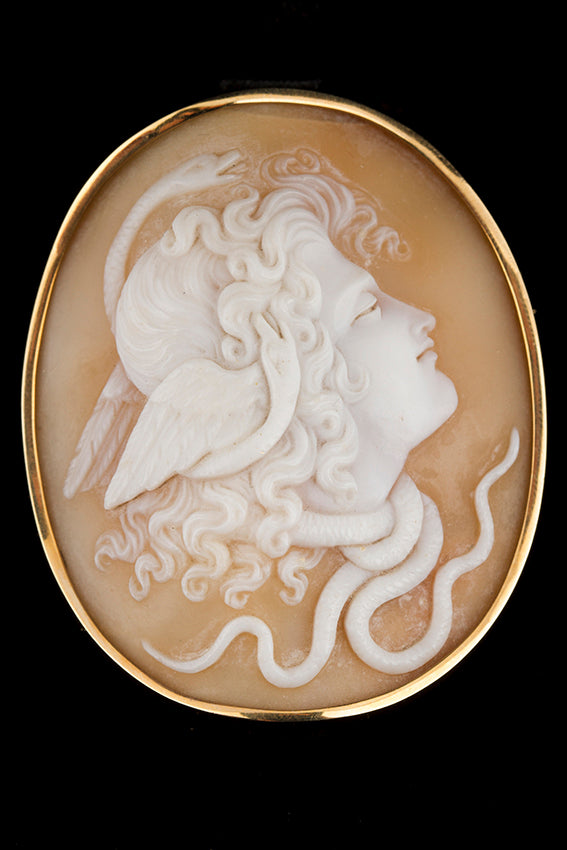 Antique cameo brooch of Medusa