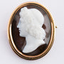 Antique cameo brooch in gold frame
