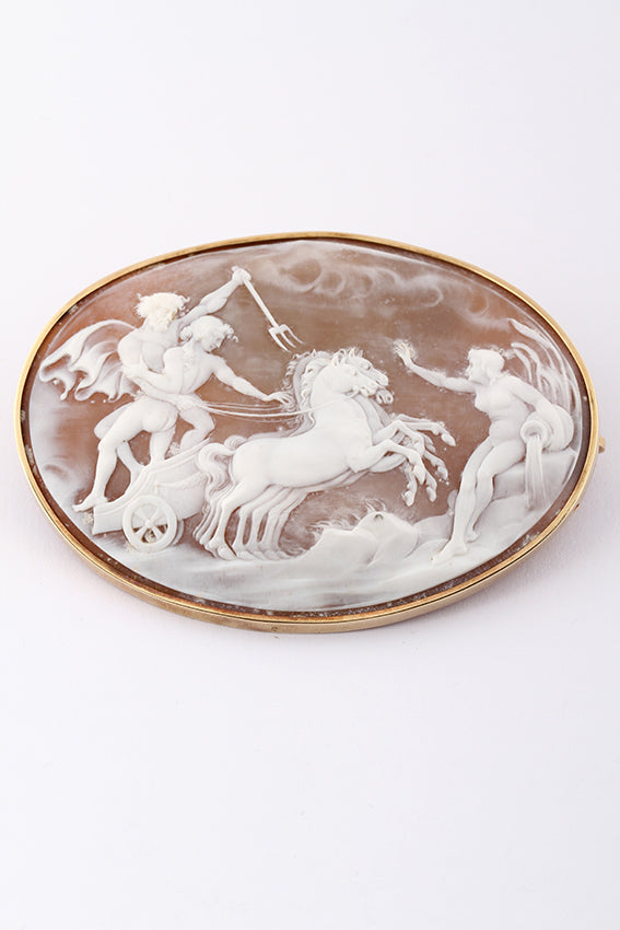 Old large shell cameo