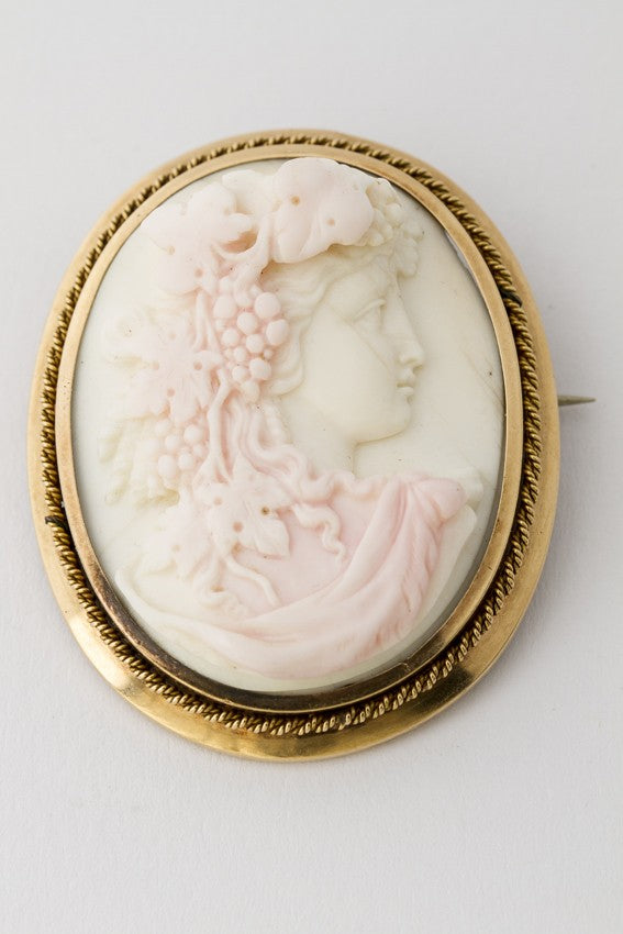 Conch schelp camée broche