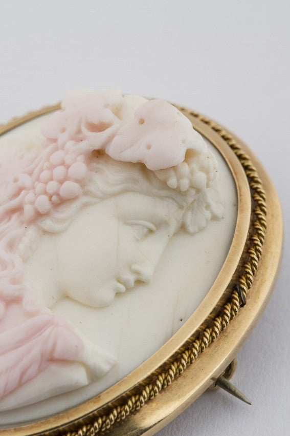 Conch schelp camée broche