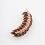 Antique gold feather brooch with pearls and garnet