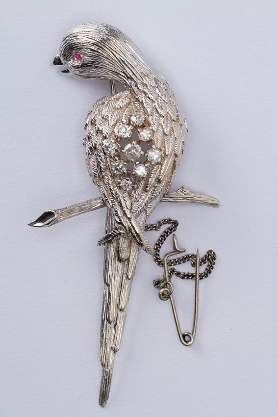 White gold parrot with a ruby ​​and diamonds