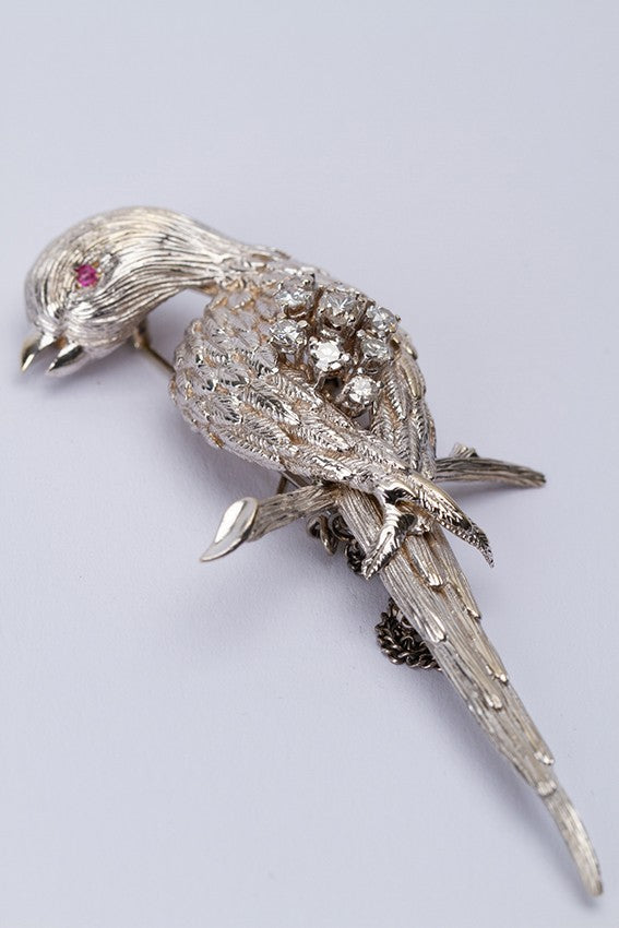 White gold parrot with a ruby ​​and diamonds