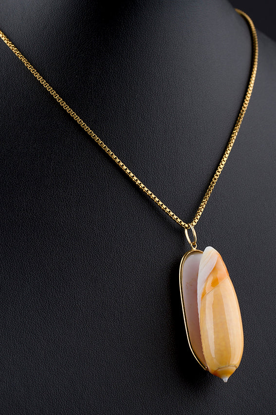 Schelphanger in 18 krt. gouden monture