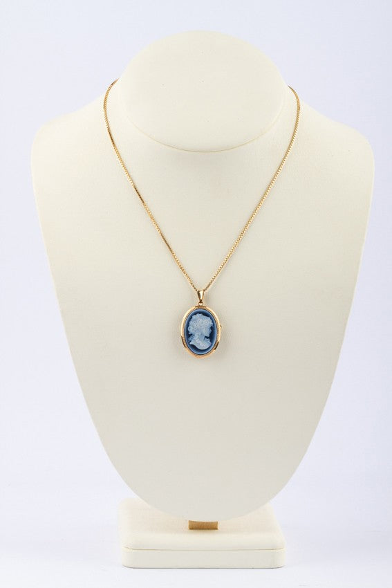 Blauw lagen agaaten camée broche-hanger