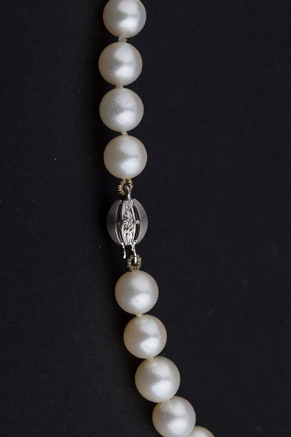 Cultive parel collier