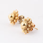 Gold Zeeland button earrings