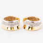 White/yellow gold earrings with 29 diamonds each