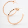 Rose gold earrings