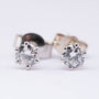 White gold solitaire earrings
