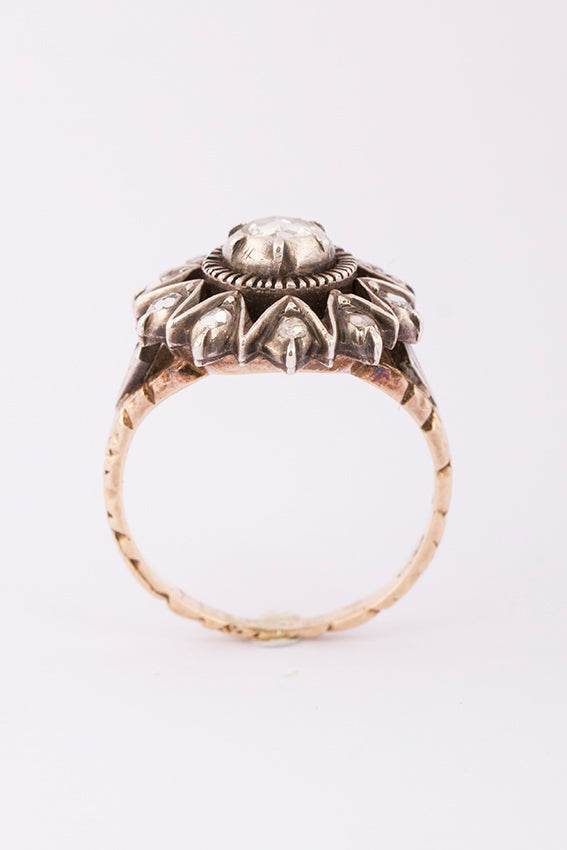 Entourage ring with diamond