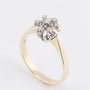 White/yellow gold entourage ring with a brilliant and diamonds