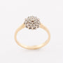 Gold double entourage ring with 29 diamonds