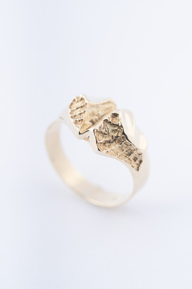 Gouden Scandinavische ring