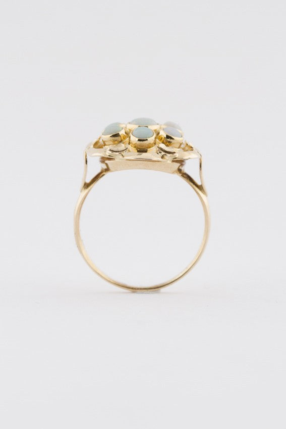 Gouden entourage ring met opalen