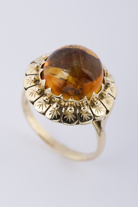 Gouden ring met barnsteen