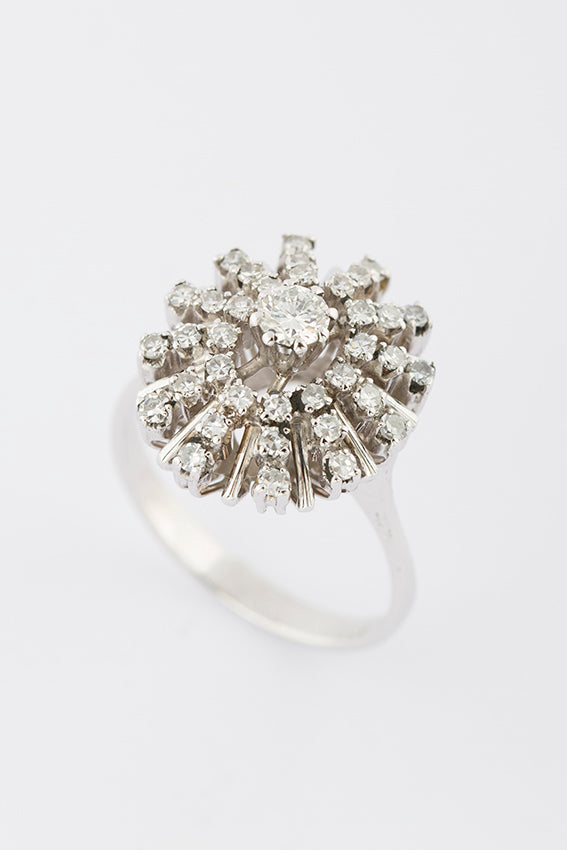 Wit gouden dubbele entourage ring met briljant en diamant