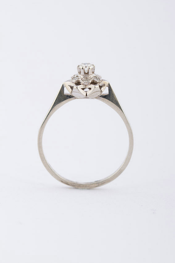 Entourage ring with brilliant and diamond