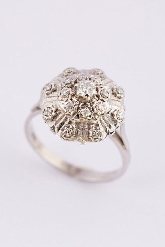 Wit gouden dubbele entourage ring met diamanten