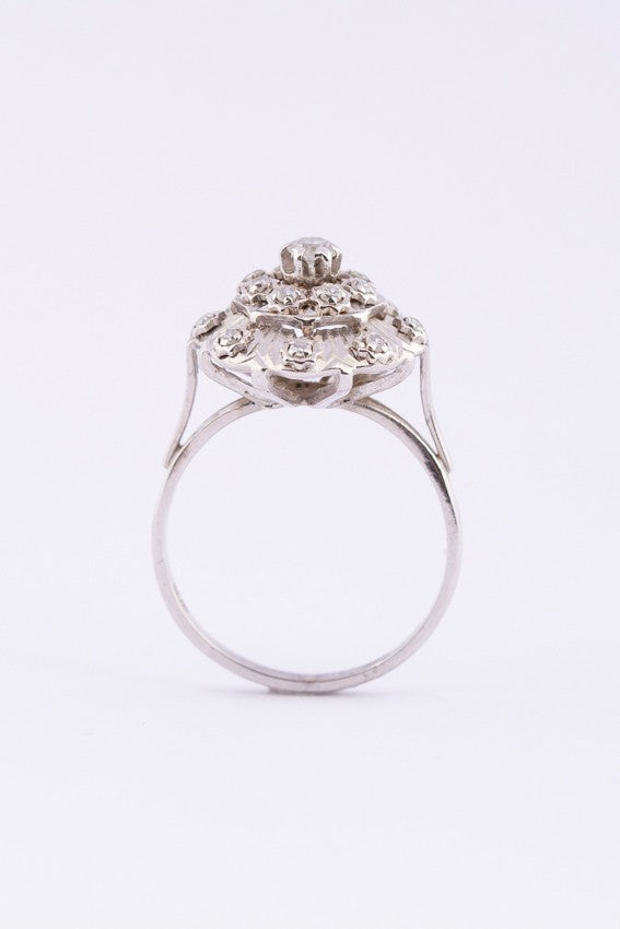 Wit gouden dubbele entourage ring met diamanten