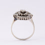 Wit gouden dubbele entourage ring met briljant en diamanten
