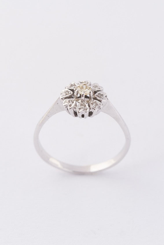 Wit gouden entourage ring met een briljant en 8 diamanten