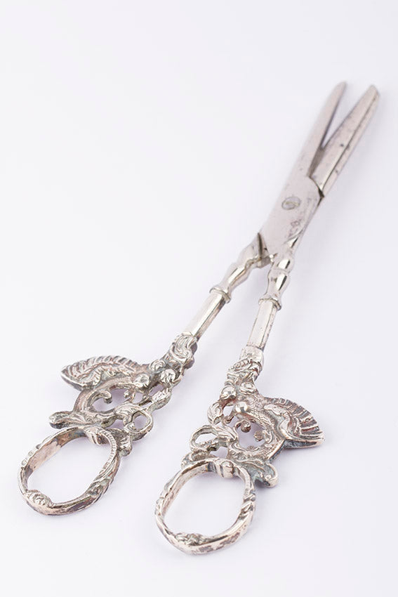 Old silver grape scissors